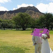 ハワイ婚のタイトル画像