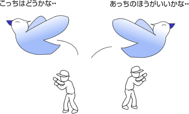 出会いの場が多すぎて青い鳥症候群 結婚相談所ブログ